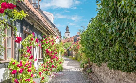 Heldag i Visby